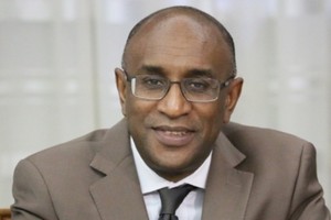 Gouvernement/diplomatie : Mohamed Lemine limogé, Kane rétrograde