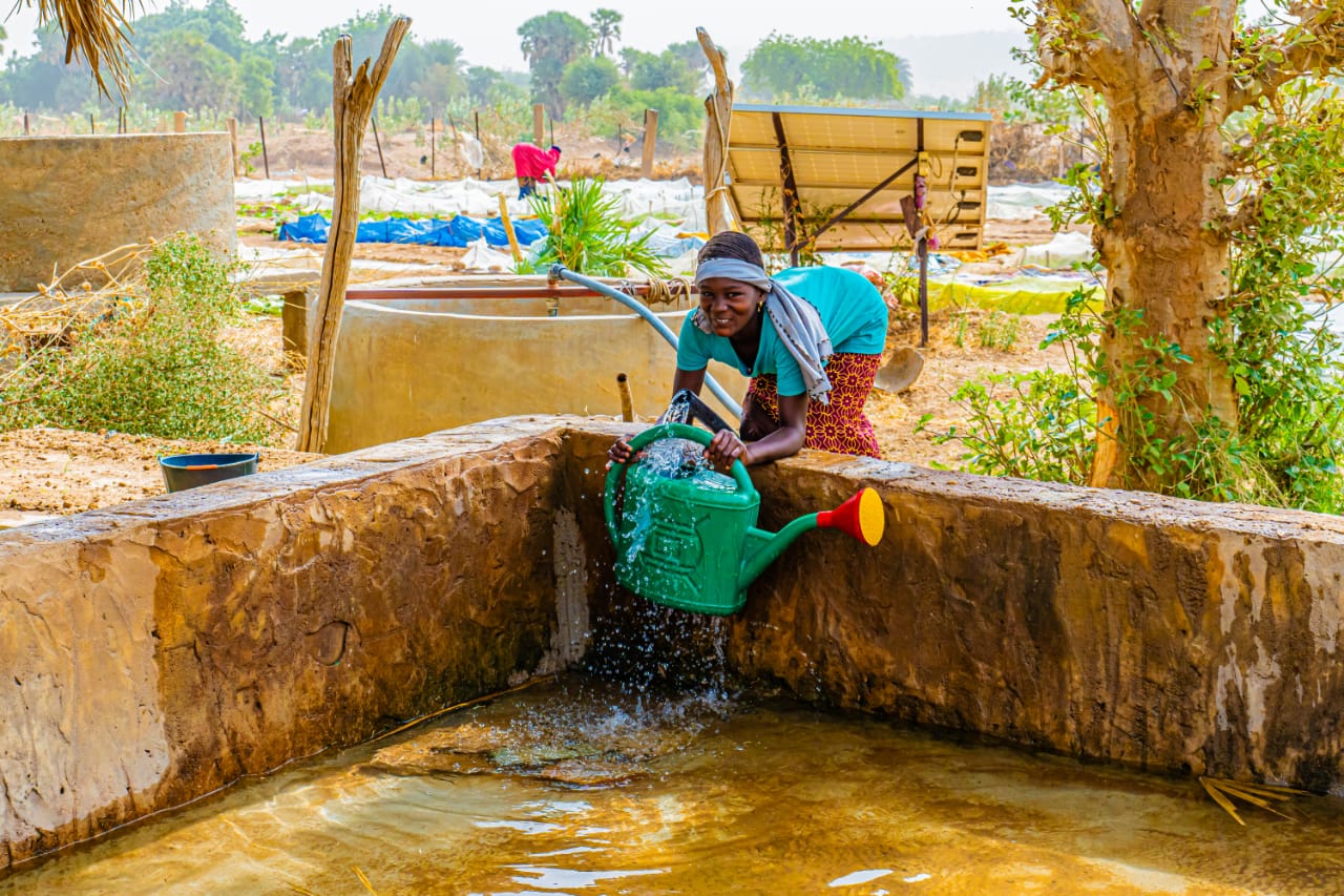 Projet PEAF au Guidimakha et au Trarza: Pérenniser les activités par les microcrédits