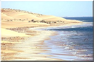 Nouakchott, l’une des villes les plus exposées aux effets du changement climatique