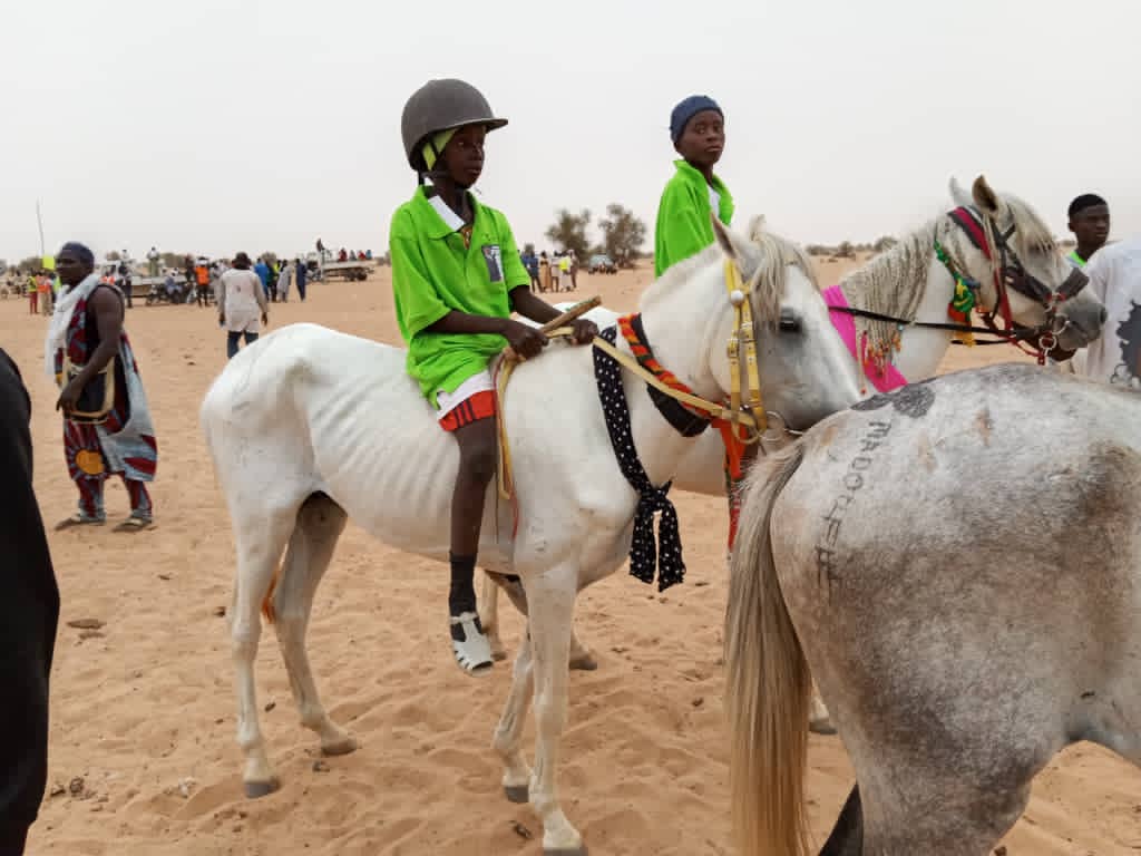 Modibougou : clôture en beauté des journées du sport équestre dans le Hodh El Gharbi