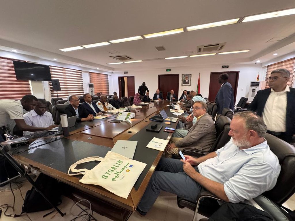 Sortir la Mauritanie du piège de la malnutrition : Le Comité de pilotage du SYSALIM activé